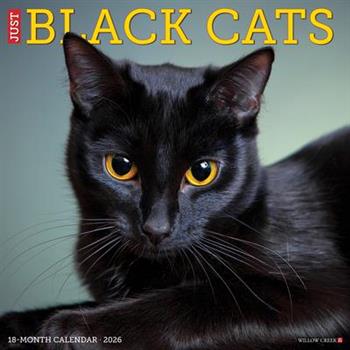 Black Cats 2026 12 X 12 Wall Calendar