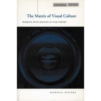 The Matrix of Visual Culture