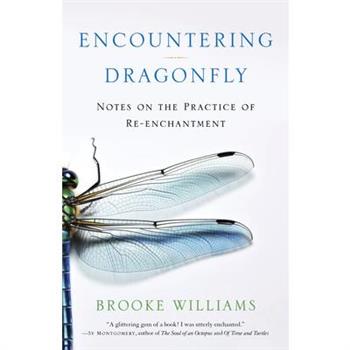 Encountering Dragonfly