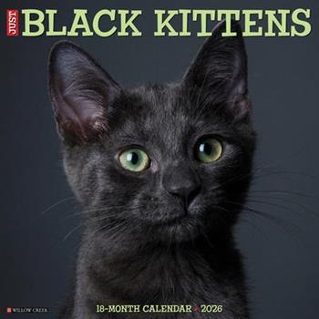 Black Kittens 2026 12 X 12 Wall Calendar