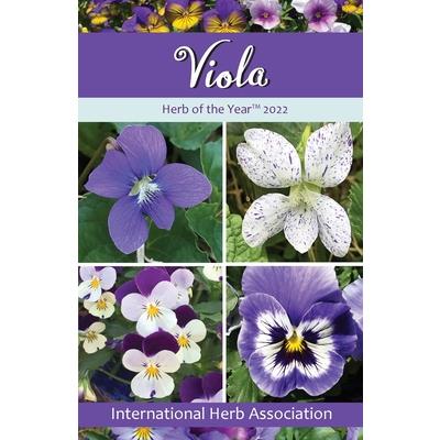 Viola