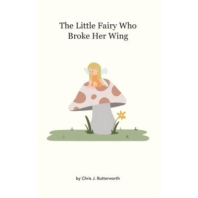 The Little Fairy Who Broke Her Wing