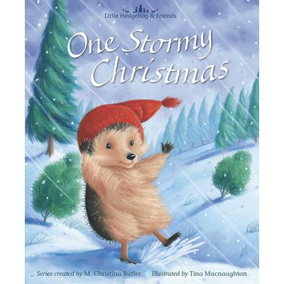 One Stormy Christmas