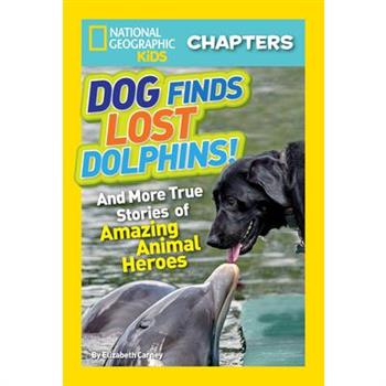 Dog Finds Lost Dolphins