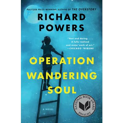 Operation Wandering Soul