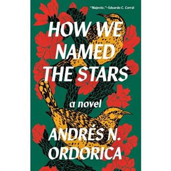 How We Named the Stars