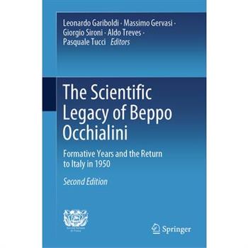 The Scientific Legacy of Beppo Occhialini