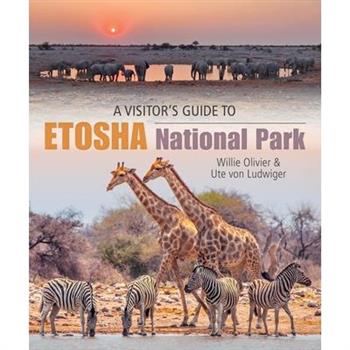 A Visitor's Guide to Etosha National Park