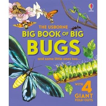 Big Book of Big Bugs