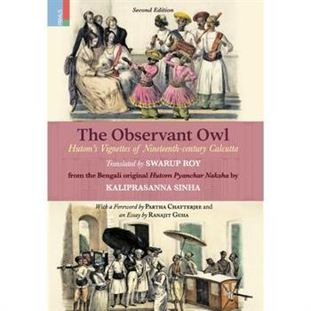 The Observant Owl