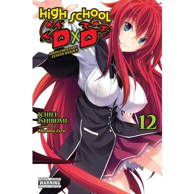 High School DXD, Vol. 12 (Light Novel)