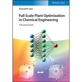 Full Scale Plant Optimization in Chemical Engineering