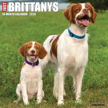 Brittanys 2026 12 X 12 Wall Calendar
