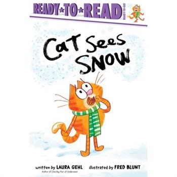 Cat Sees Snow