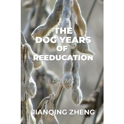 The Dog Years of Reeducation