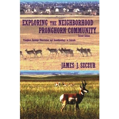 The Prince of Neither Here Nor There