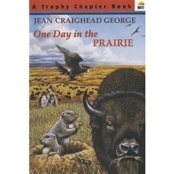 One Day in the Prairie