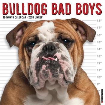 Bulldog Bad Boys 2026 12 X 12 Wall Calendar