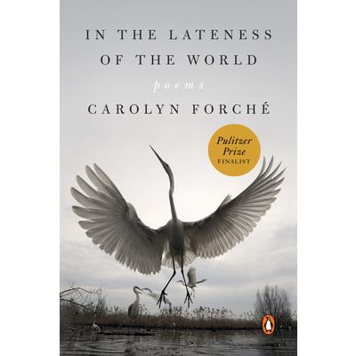 In the Lateness of the World