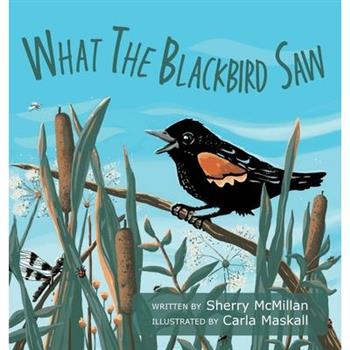 What the Blackbird Saw