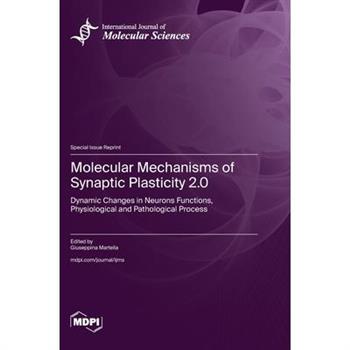 Molecular Mechanisms of Synaptic Plasticity 2.0