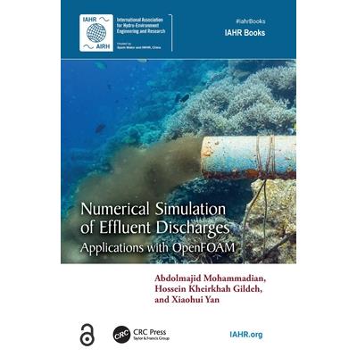 Numerical Simulation of Effluent Discharges