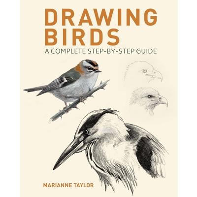 Drawing Birds