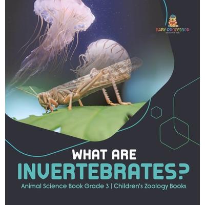 What Are Invertebrates? Animal Science Book Grade 3 Children's Zoology Books