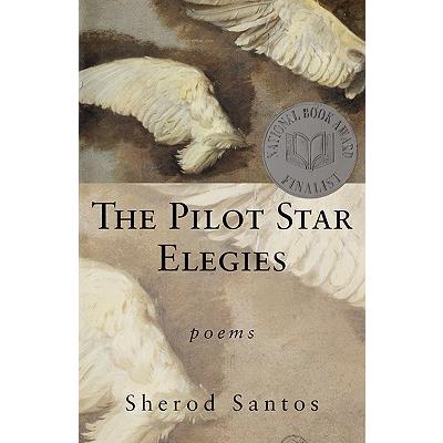 The Pilot Star Elegies