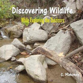 Discovering Wildlife While Exploring the Outdoors