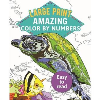Amazing Color-by-numbers Large Print