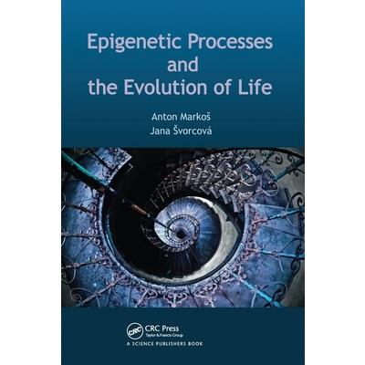 Epigenetic Processes and Evolution of Life
