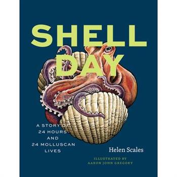 Shell Day