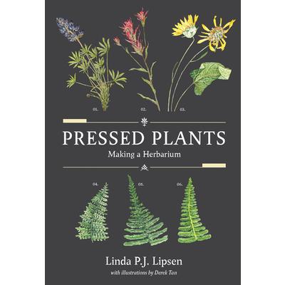 Pressed Plants