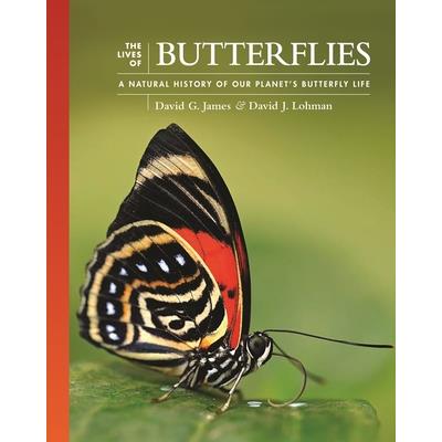 The Lives of Butterflies