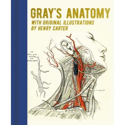 Gray’s Anatomy