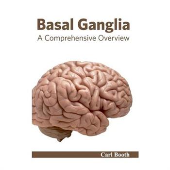 Basal Ganglia: A Comprehensive Overview