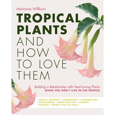 Tropical Plants and How to Love Them