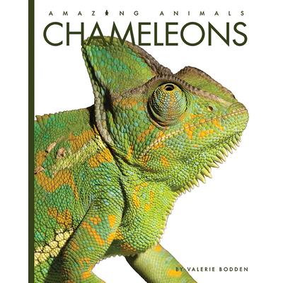 Chameleons