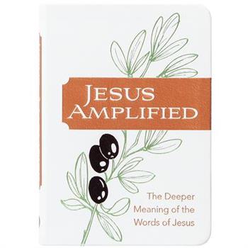 Jesus Amplified