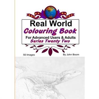 Real World Colouring Books Series 22