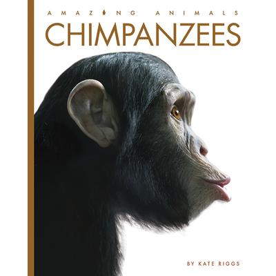 Chimpanzees