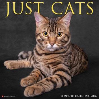 Cats 2026 12 X 12 Wall Calendar