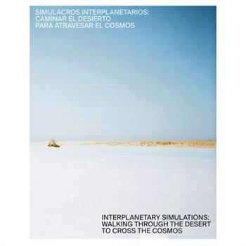 Interplanetary Simulations