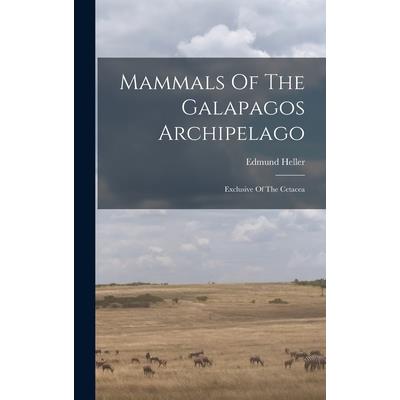 Mammals Of The Galapagos Archipelago