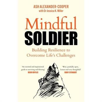 Mindful Soldier