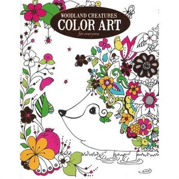 Woodland Creatures Color Art for Everyone