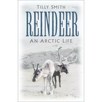 Reindeer
