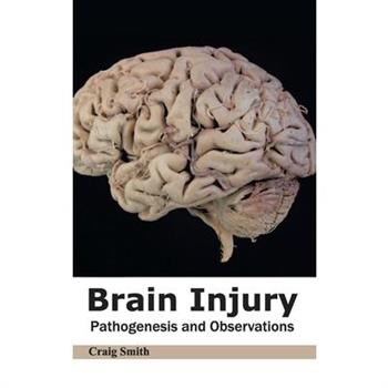 Brain Injury: Pathogenesis and Observations