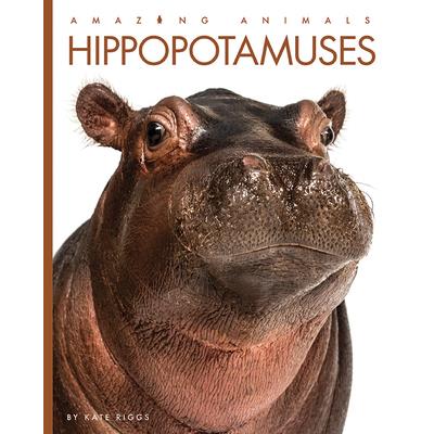 Hippopotamuses